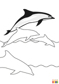 Dauphins en pleine mer &agrave; colorier